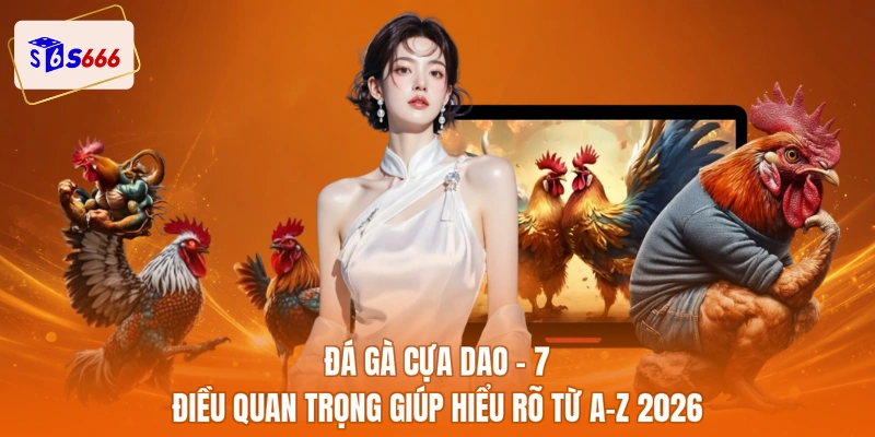 Đá gà cựa dao